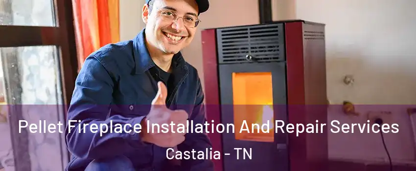 Pellet Fireplace Installation And Repair Services Castalia - TN