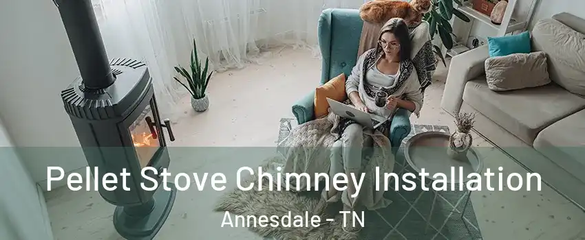 Pellet Stove Chimney Installation Annesdale - TN