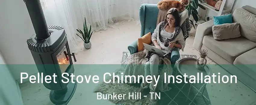 Pellet Stove Chimney Installation Bunker Hill - TN