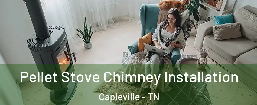 Pellet Stove Chimney Installation Capleville - TN