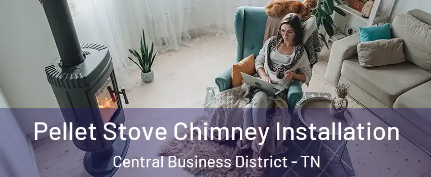 Pellet Stove Chimney Installation Central Business District - TN