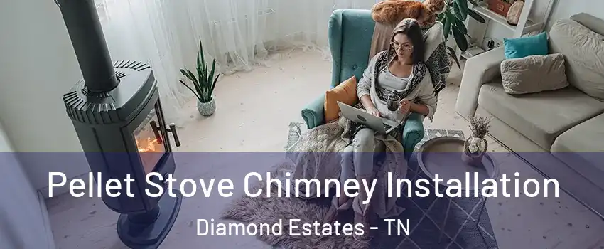 Pellet Stove Chimney Installation Diamond Estates - TN