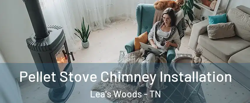 Pellet Stove Chimney Installation Lea's Woods - TN