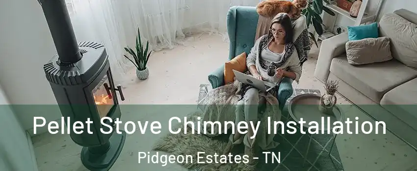 Pellet Stove Chimney Installation Pidgeon Estates - TN