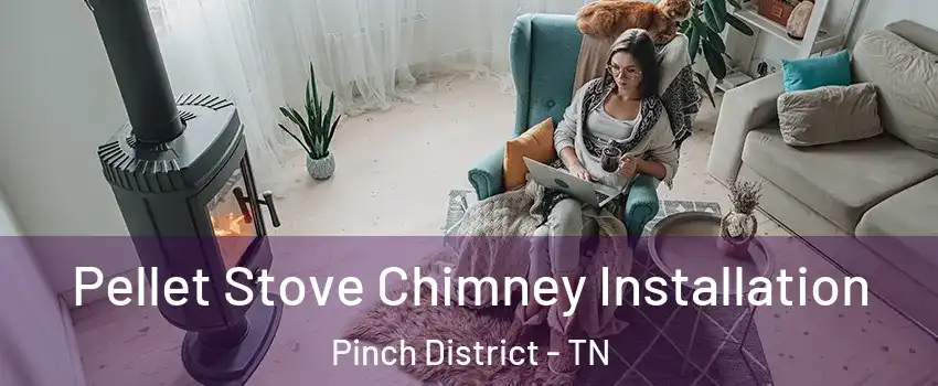 Pellet Stove Chimney Installation Pinch District - TN