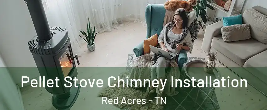 Pellet Stove Chimney Installation Red Acres - TN