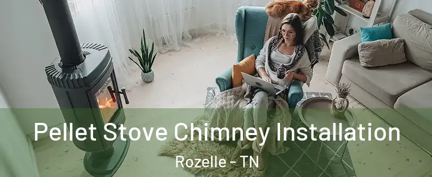 Pellet Stove Chimney Installation Rozelle - TN