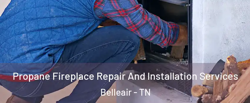 Propane Fireplace Repair And Installation Services Belleair - TN