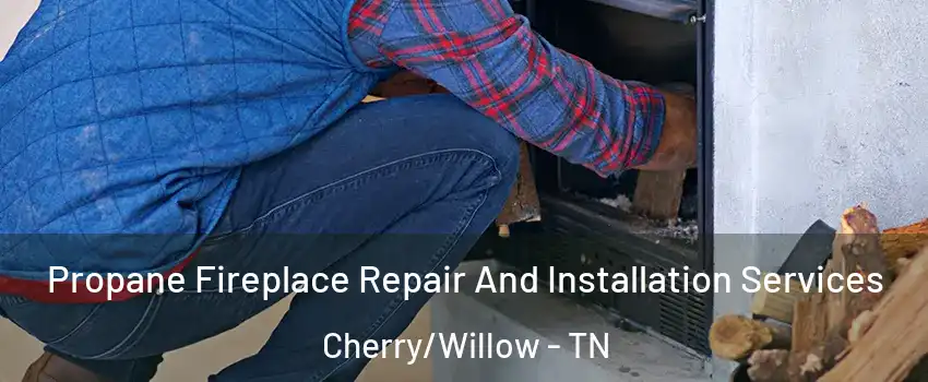 Propane Fireplace Repair And Installation Services Cherry/Willow - TN