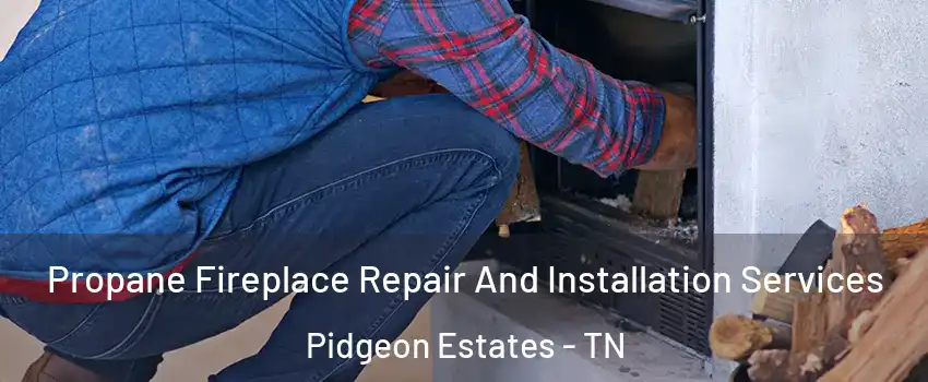 Propane Fireplace Repair And Installation Services Pidgeon Estates - TN