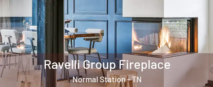 Ravelli Group Fireplace Normal Station - TN