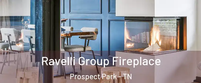 Ravelli Group Fireplace Prospect Park - TN