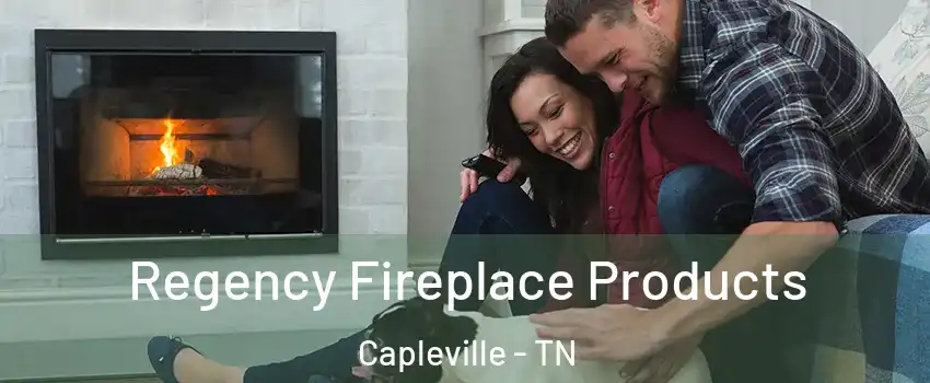 Regency Fireplace Products Capleville - TN