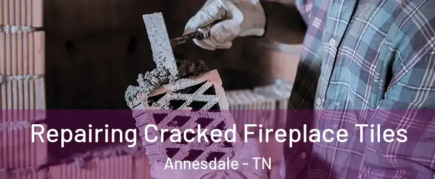 Repairing Cracked Fireplace Tiles Annesdale - TN