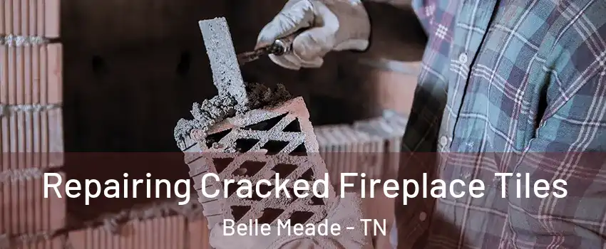 Repairing Cracked Fireplace Tiles Belle Meade - TN