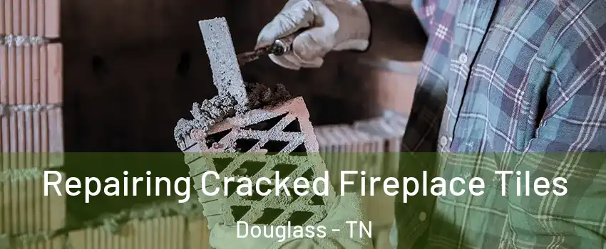 Repairing Cracked Fireplace Tiles Douglass - TN