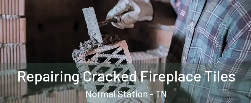 Repairing Cracked Fireplace Tiles Normal Station - TN