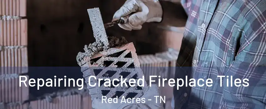 Repairing Cracked Fireplace Tiles Red Acres - TN