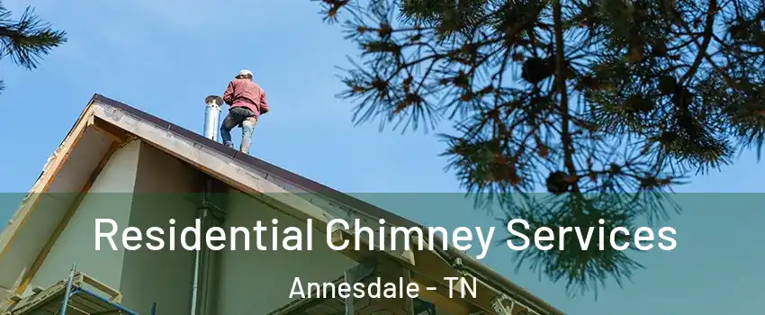 Residential Chimney Services Annesdale - TN