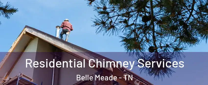 Residential Chimney Services Belle Meade - TN