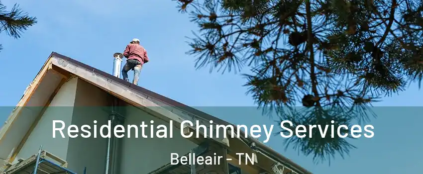 Residential Chimney Services Belleair - TN