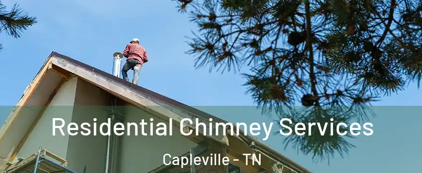 Residential Chimney Services Capleville - TN