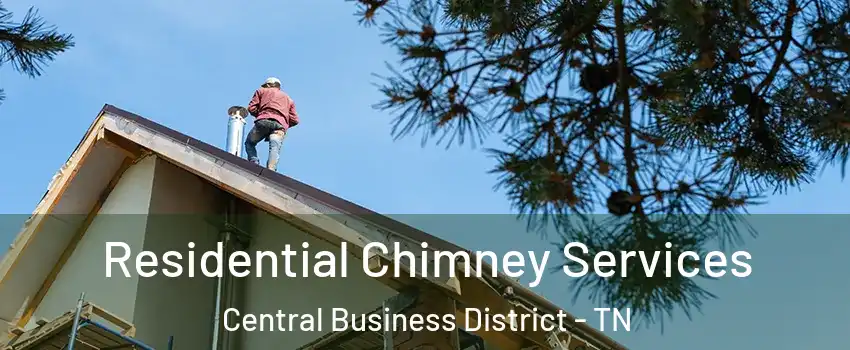 Residential Chimney Services Central Business District - TN