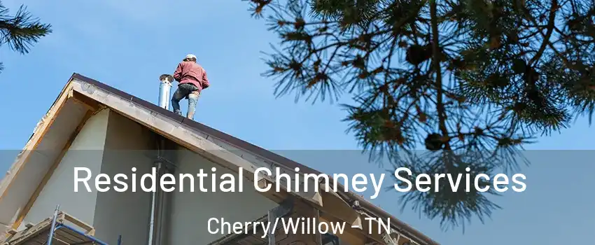 Residential Chimney Services Cherry/Willow - TN