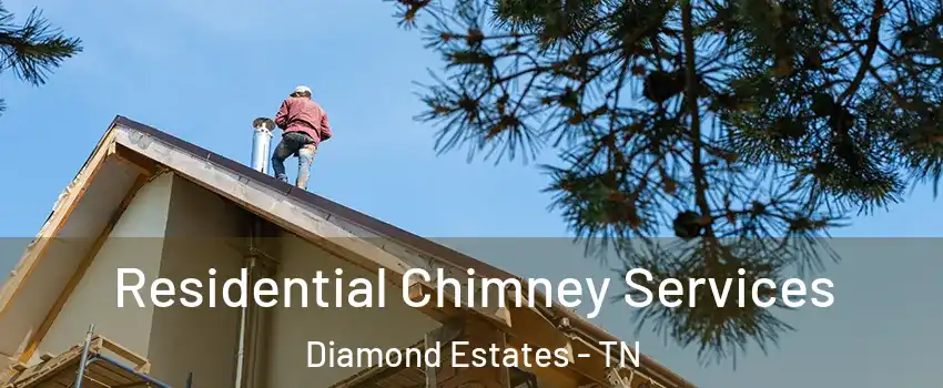 Residential Chimney Services Diamond Estates - TN