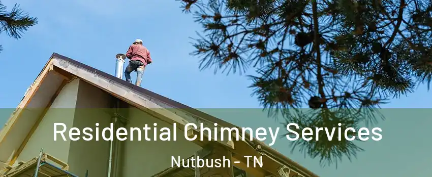 Residential Chimney Services Nutbush - TN