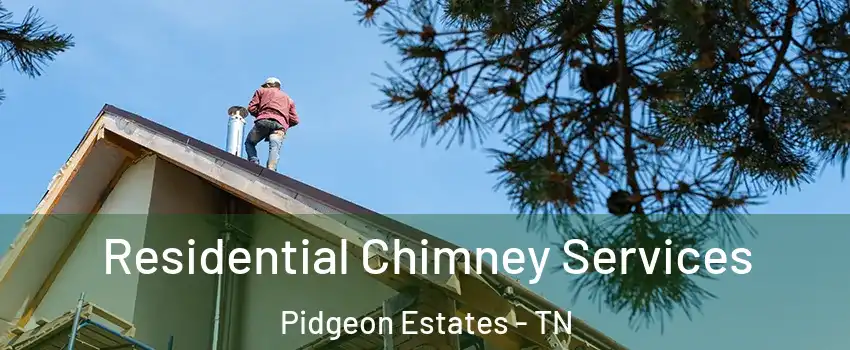 Residential Chimney Services Pidgeon Estates - TN