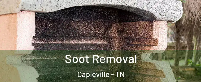 Soot Removal Capleville - TN