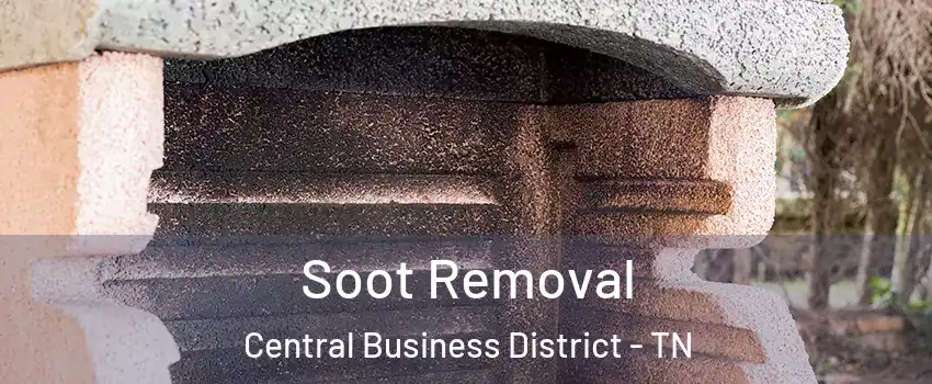 Soot Removal Central Business District - TN