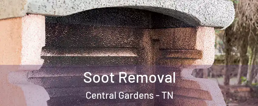 Soot Removal Central Gardens - TN