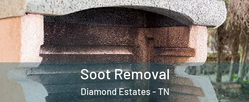 Soot Removal Diamond Estates - TN