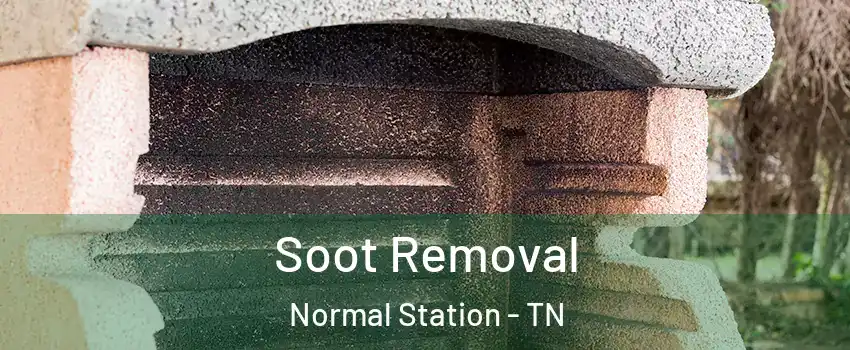 Soot Removal Normal Station - TN