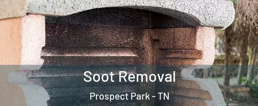 Soot Removal Prospect Park - TN