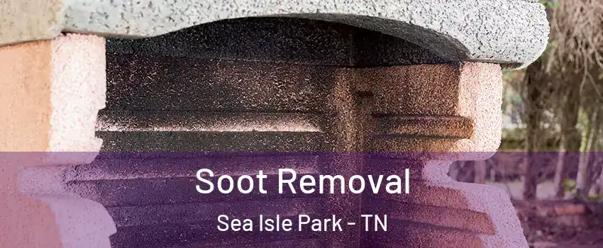 Soot Removal Sea Isle Park - TN