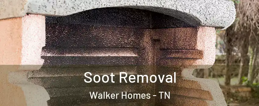 Soot Removal Walker Homes - TN