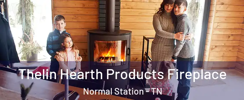 Thelin Hearth Products Fireplace Normal Station - TN