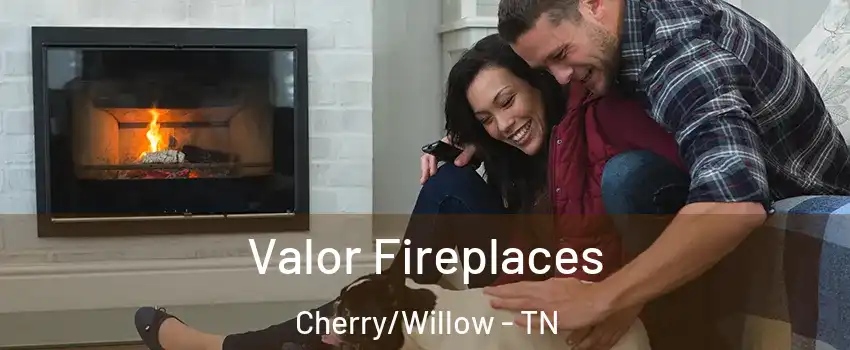 Valor Fireplaces Cherry/Willow - TN