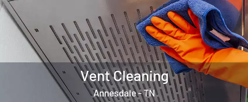 Vent Cleaning Annesdale - TN