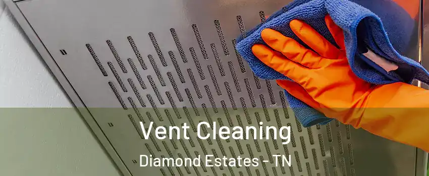 Vent Cleaning Diamond Estates - TN