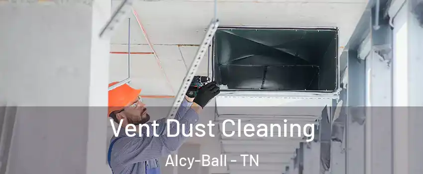 Vent Dust Cleaning Alcy-Ball - TN