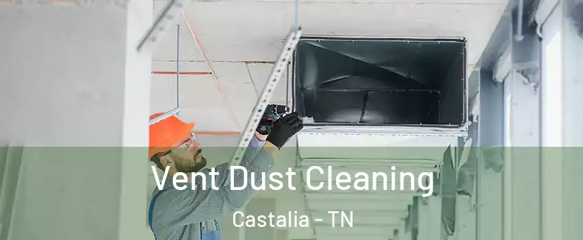 Vent Dust Cleaning Castalia - TN