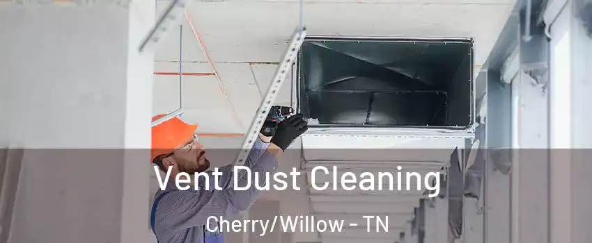 Vent Dust Cleaning Cherry/Willow - TN