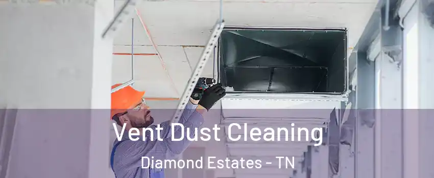 Vent Dust Cleaning Diamond Estates - TN