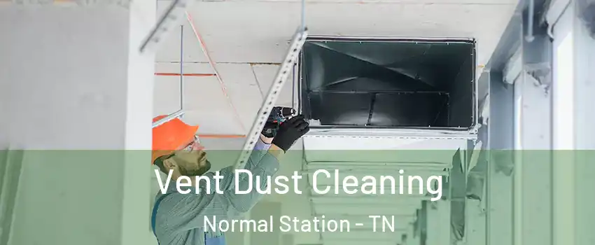 Vent Dust Cleaning Normal Station - TN