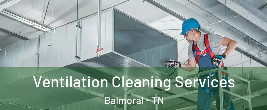 Ventilation Cleaning Services Balmoral - TN