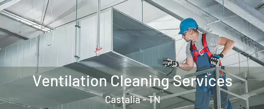 Ventilation Cleaning Services Castalia - TN